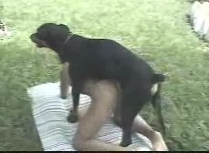Video :Outdoor dog sex with naked girl and big black dog